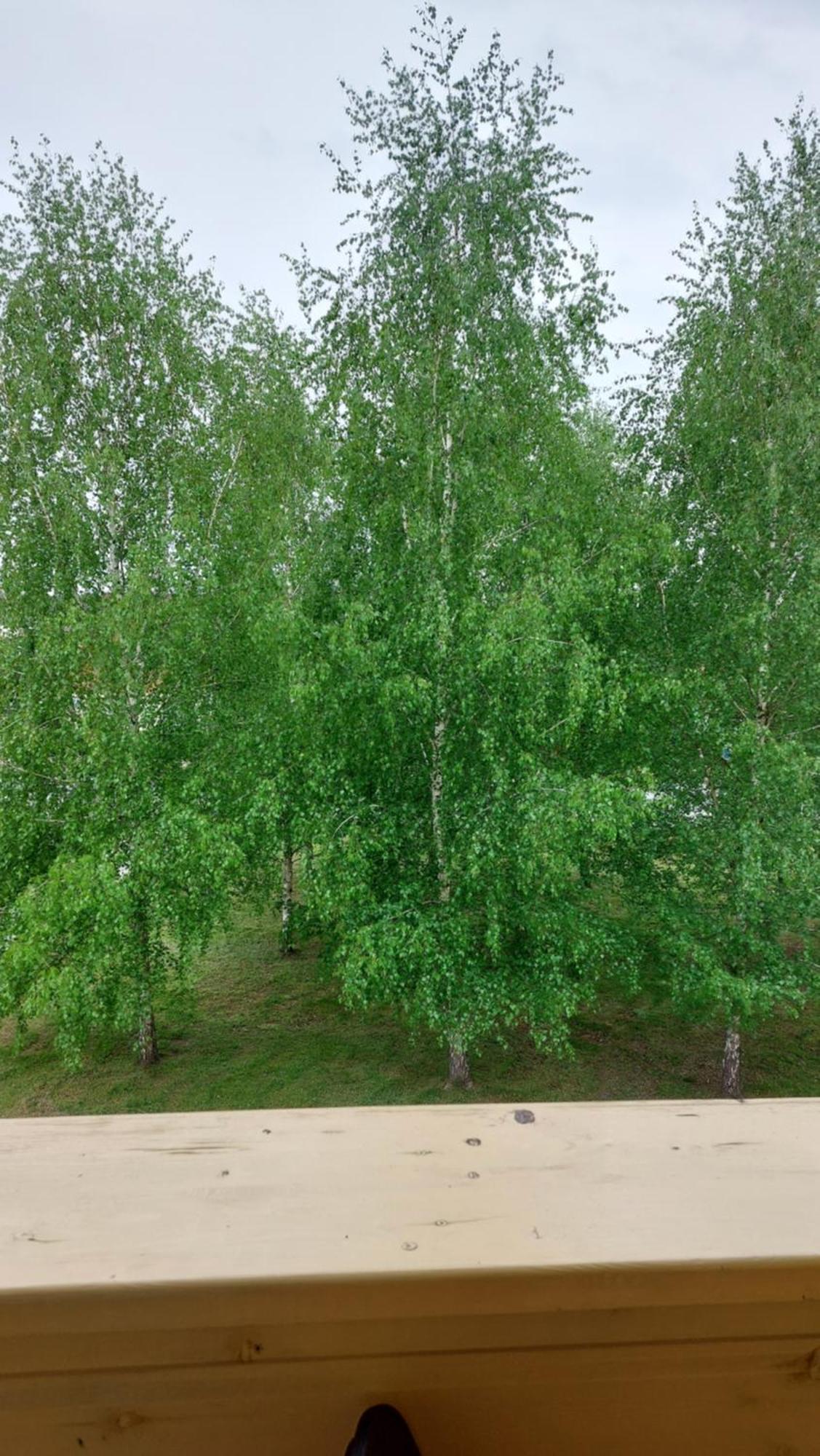 Apartamentai Gertruda Ντρουσκινινκάι Εξωτερικό φωτογραφία